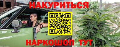 прущие грибы Заводоуковск