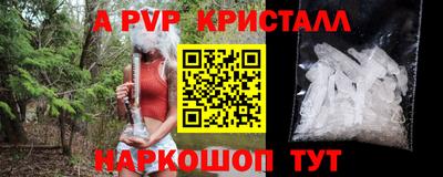 прущие грибы Заводоуковск