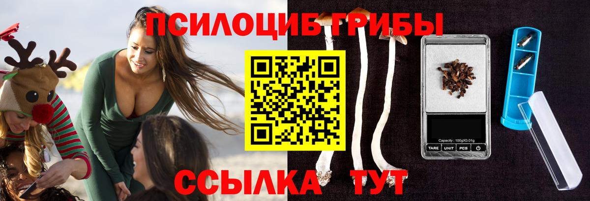 Галлюциногенные грибы Cubensis Курчатов