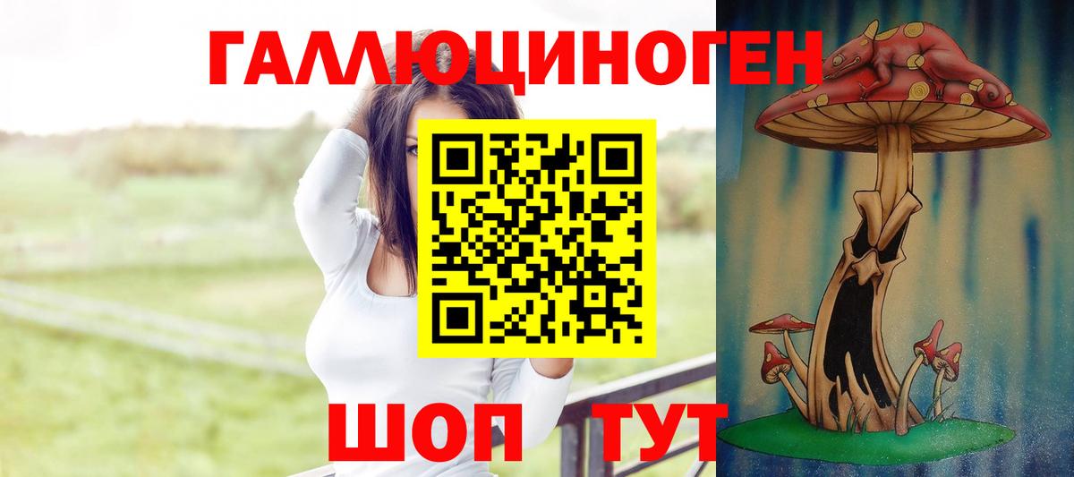 дарнет шоп  Галлюциногенные грибы ЛСД  Вход с VPN  Курчатов 